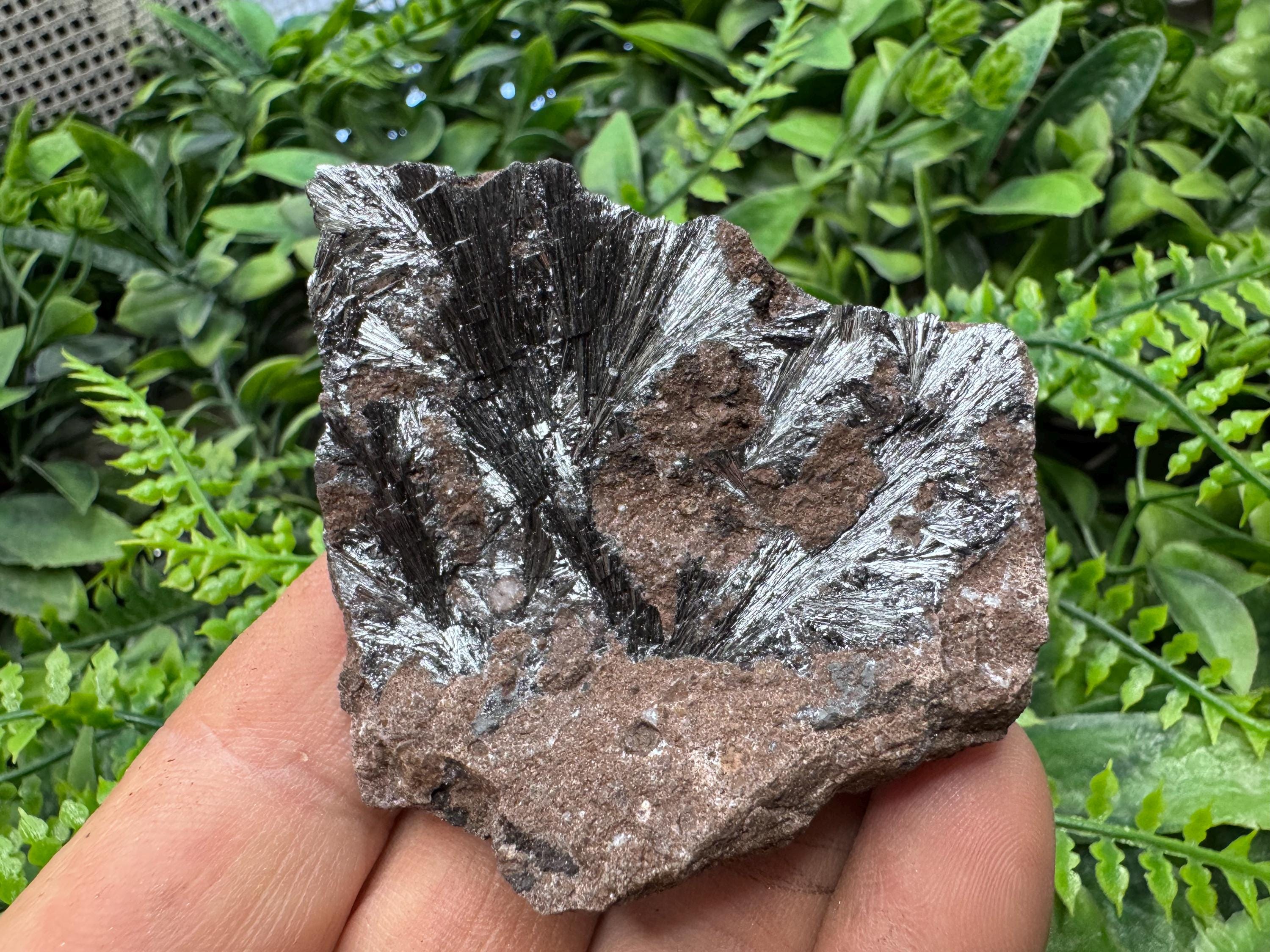 Pirolusite natural crystal minerals specimen clusters souvenirs WholesaleMineralsBox home decor