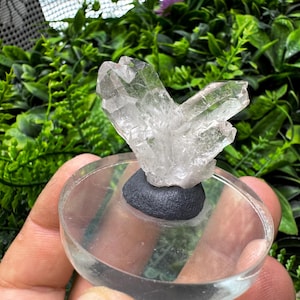 Quartz Brazil natural crystal minerals specimen clusters souvenirs WholesaleMineralsBox