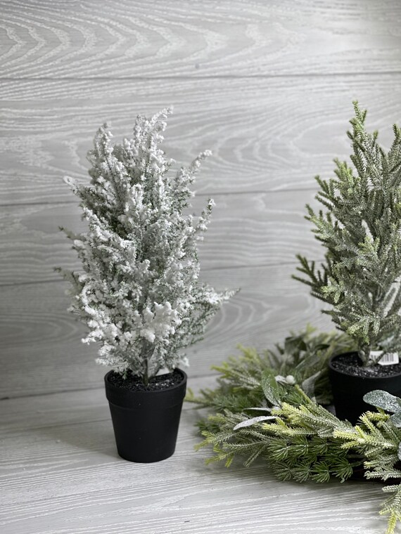 Mini Potted Christmas Trees