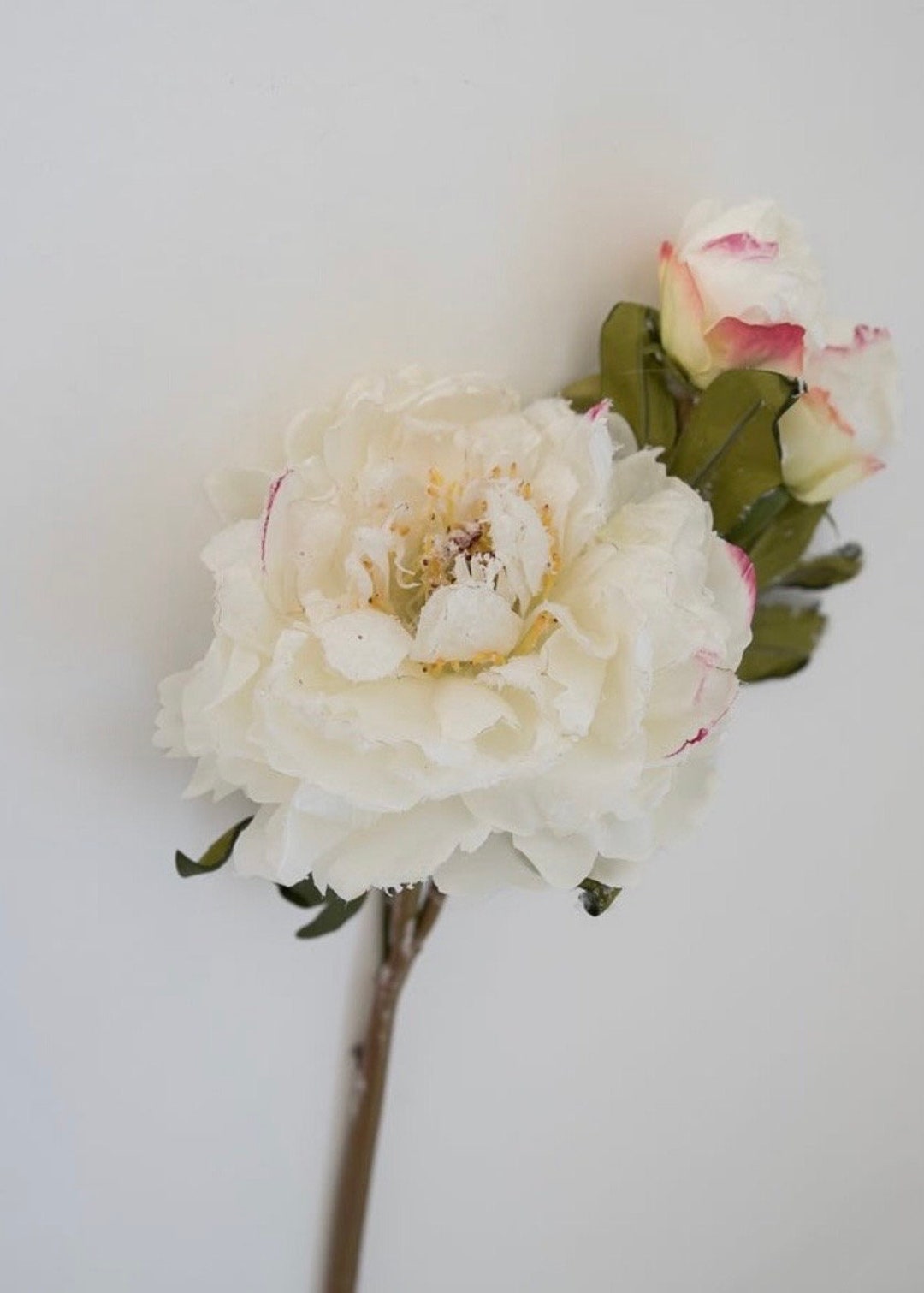 Artificial White Peonies Winter Silk Flower Stems Peony Etsy