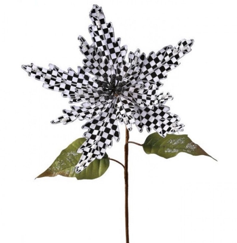 Harlequin poinsettias Black and white Christmas poinsettias  Etsy