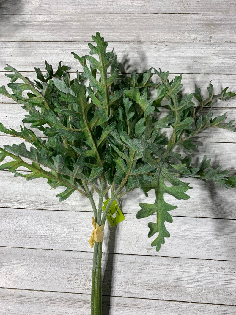 Dusty miller greenery bundle dusty miller filler flower Etsy