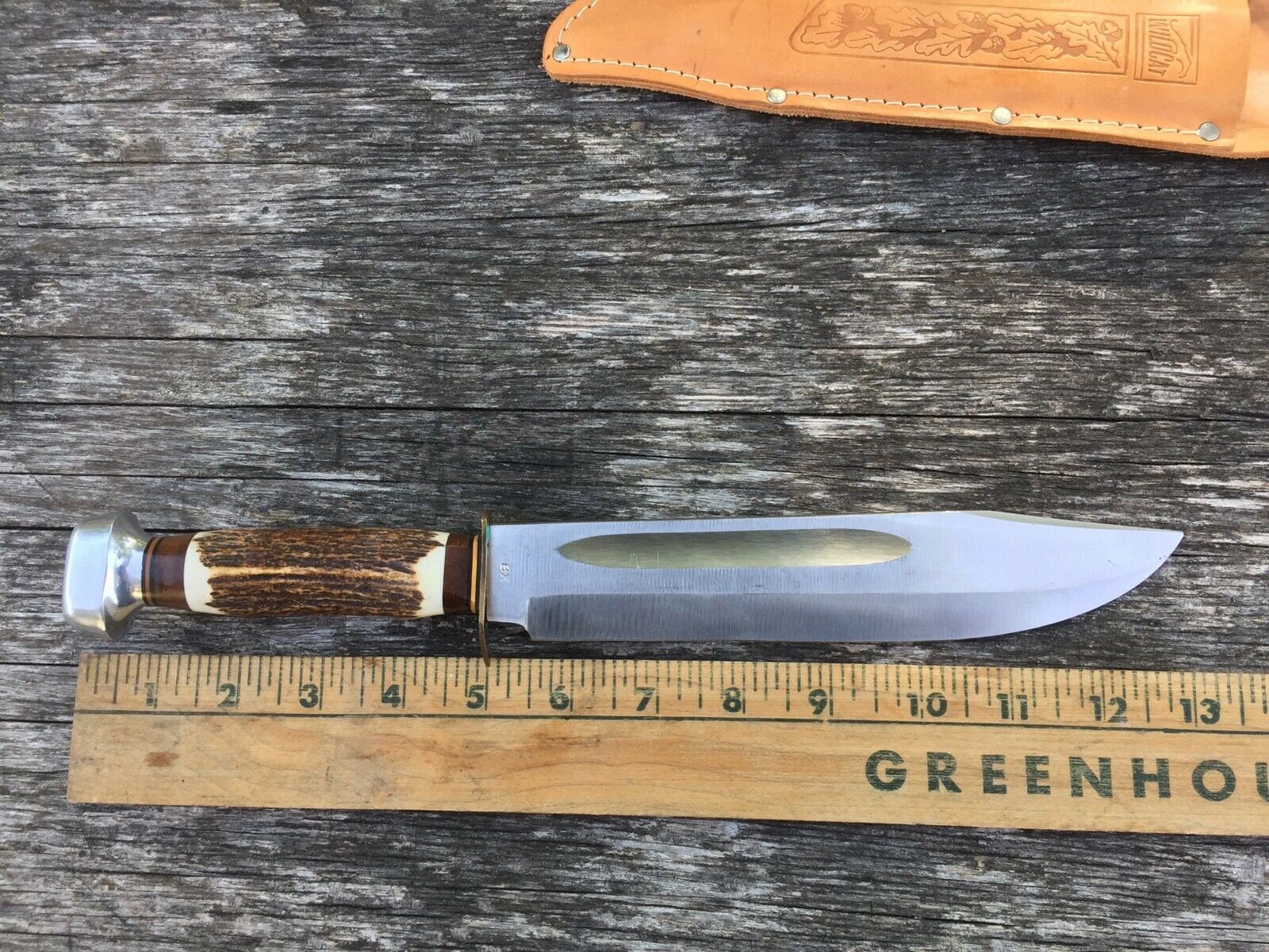 Vintage Wildcat 8 Blade Stag Handle Knife Solingen Etsy