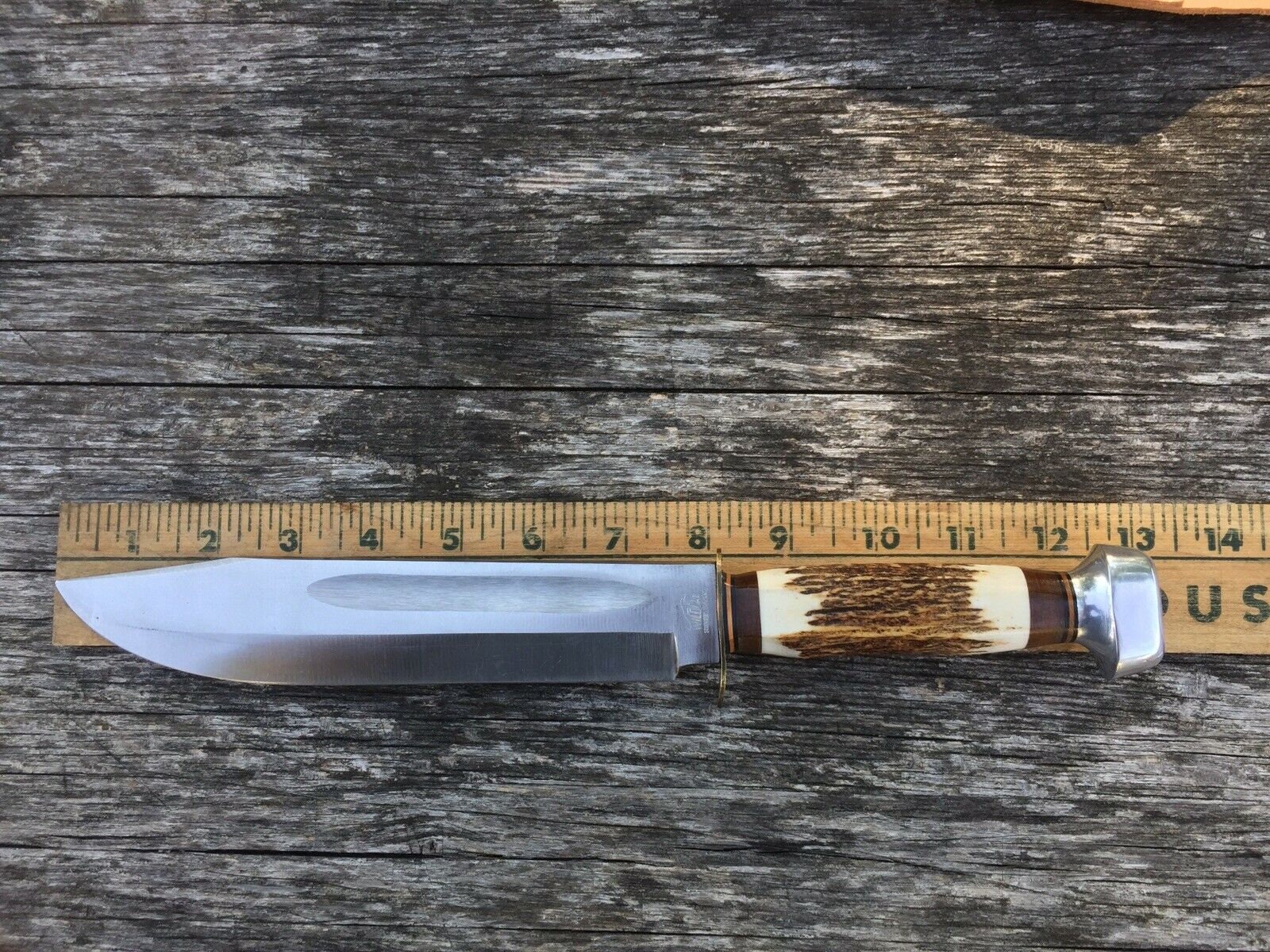 Vintage Wildcat 8 Blade Stag Handle Knife Solingen Germany Etsy