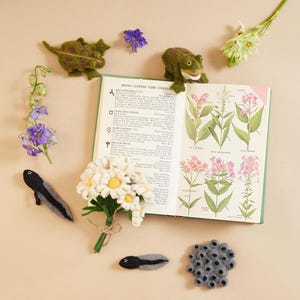 Life Cycle of a Frog Learning Kit, Hand Needle Felted Toad Metamorphosis Charms, Handmade DIY Diorama image 6