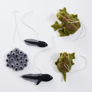 Life Cycle of a Frog Learning Kit, Hand Needle Felted Toad Metamorphosis Charms, Handmade DIY Diorama image 7