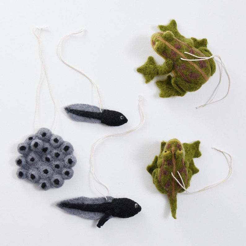 Life Cycle of a Frog Learning Kit, Hand Needle Felted Toad Metamorphosis Charms, Handmade DIY Diorama image 7