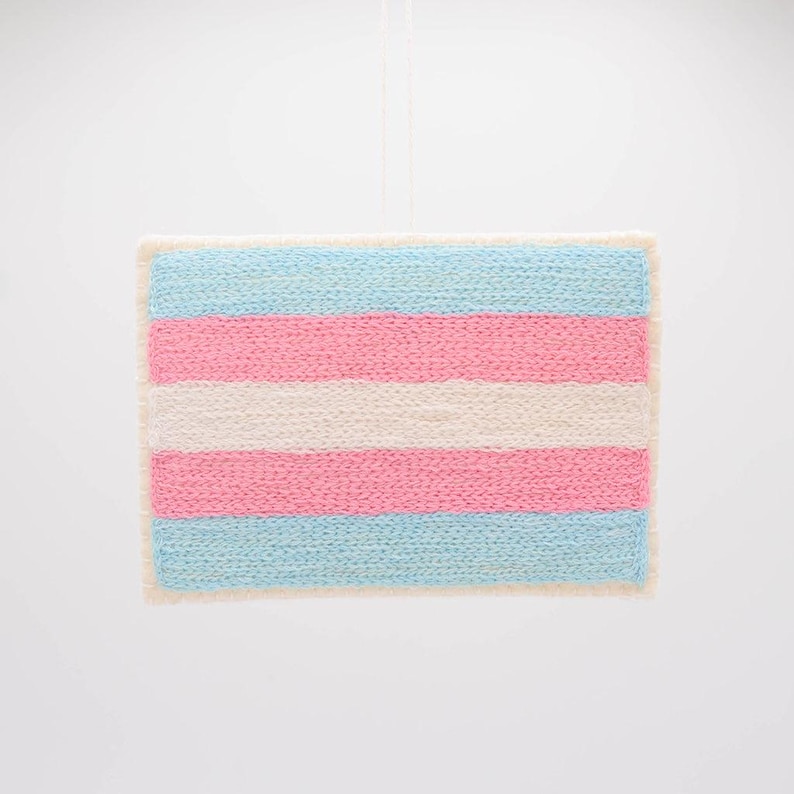 Craftspring Trans Pride Flag Ornament