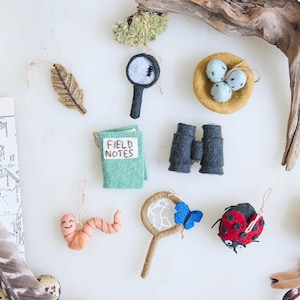 Nature Explorers Mini Ornaments - Set of 8, Handmade Science Learning Set, Outdoor Adventure Explorer Decor, Nature Study Keepsake