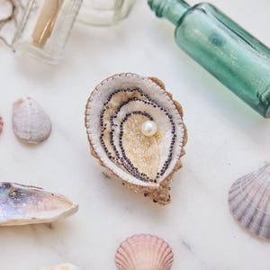 Decorazione a forma di ostrica, ornamento natalizio costiero in feltro, decorazione a conchiglia fatta a mano, decorazione nautica in lana per l'albero di Natale, regalo per le vacanze in casa al mare