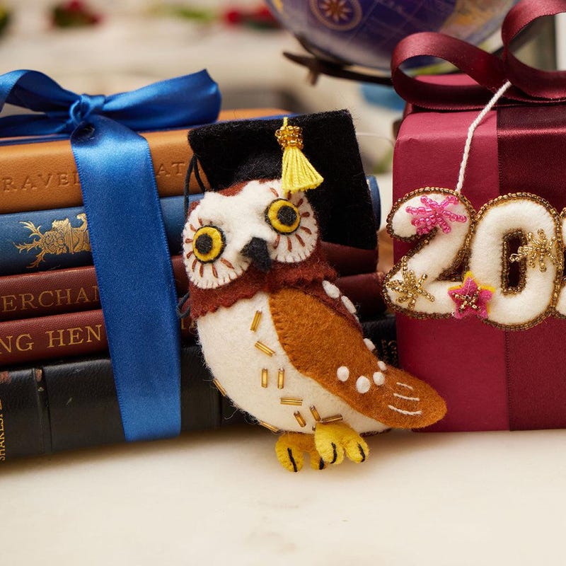 Graduating Owl - Etsy