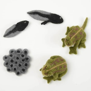 Life Cycle of a Frog Learning Kit, Hand Needle Felted Toad Metamorphosis Charms, Handmade DIY Diorama image 4