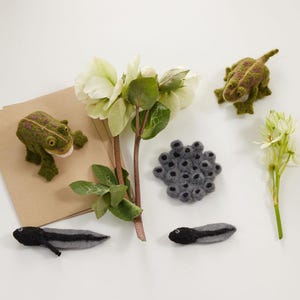 Life Cycle of a Frog Learning Kit, Hand Needle Felted Toad Metamorphosis Charms, Handmade DIY Diorama image 1