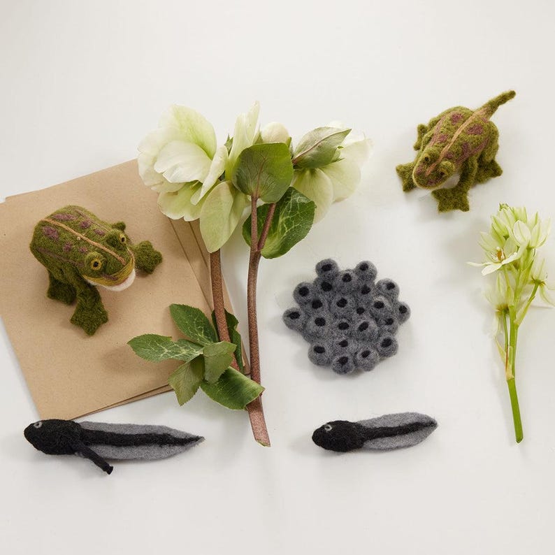 Life Cycle of a Frog Learning Kit, Hand Needle Felted Toad Metamorphosis Charms, Handmade DIY Diorama image 1