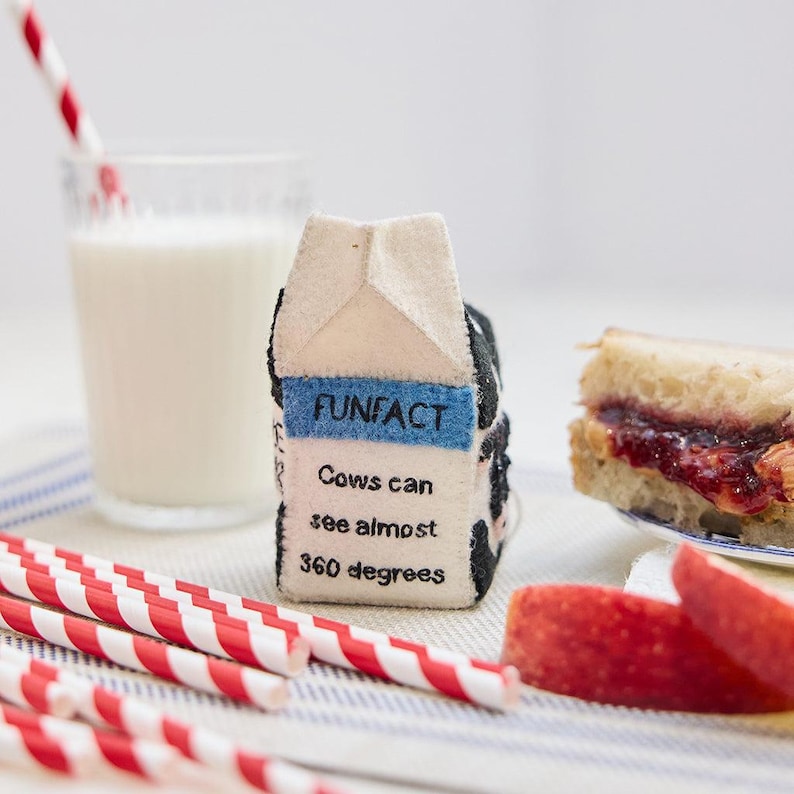 Craftspring School Milk Carton Ornament - Thumbnail 3