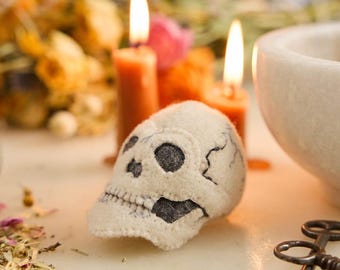 Model Human Skull Ornament, Handmade Felt Halloween Decor, Gothic Anatomy Collectible, Skeleton Keepsake