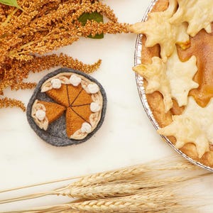 Decorazione per torta di zucca, dessert di frutta infeltrito a mano su teglia per crostata, ciondolo fatto a mano per il Ringraziamento
