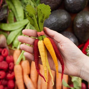 Rainbow Carrot Bunch Ornament, Hand Felted Veggie Charm, Handmade Foodie Decor