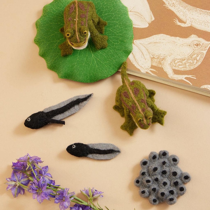 Life Cycle of a Frog Learning Kit, Hand Needle Felted Toad Metamorphosis Charms, Handmade DIY Diorama image 3