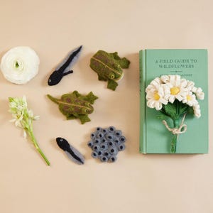 Life Cycle of a Frog Learning Kit, Hand Needle Felted Toad Metamorphosis Charms, Handmade DIY Diorama image 2