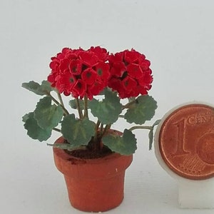 kit geranium image 3