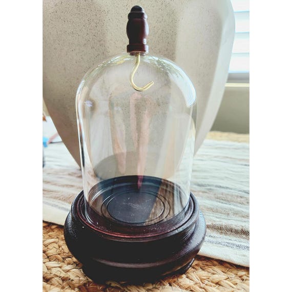 3"x 4" Hand Blown Glass Display Dome Cloche with Dark Wood Base & Knob - Assembled in Nevada, USA!