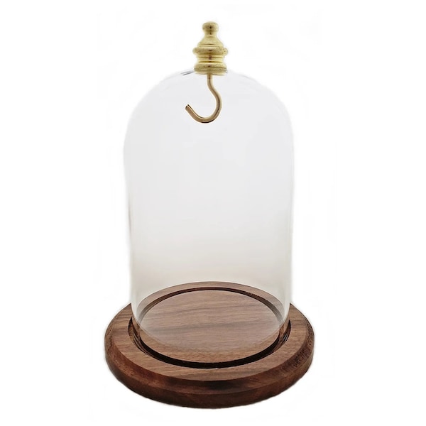 3" x 4-1/2" Pocket Watch Glass Display Dome Cloche Real Walnut Wood Base & Gold Brass Hook - Made in USA!