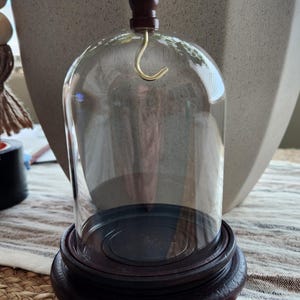 May include: A clear glass cloche with a dark brown wooden base and a matching finial. A gold-colored hook is attached to the top of the glass dome. The cloche is designed to display small objects.