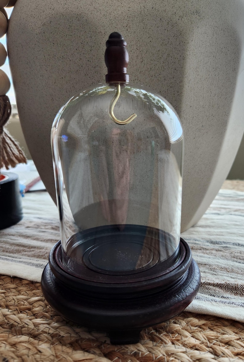 May include: A clear glass cloche with a dark brown wooden base and a matching finial. A gold-colored hook is attached to the top of the glass dome. The cloche is designed to display small objects.