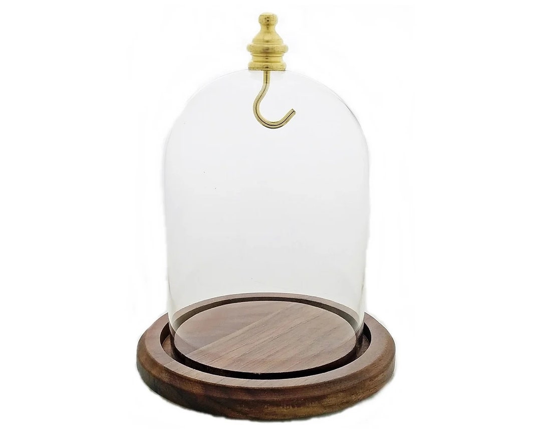 3" X 4" Hand Blown Pocket Watch Glass Display Dome Cloche Real Walnut ...
