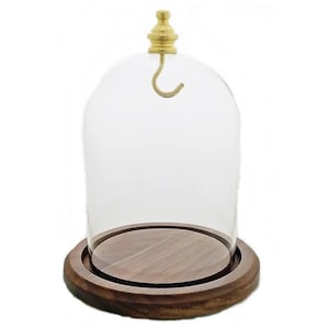 3&quot; x 4&quot; Hand Blown Pocket Watch Glass Display Dome Cloche Real Walnut Wood Base & Gold Brass Hook - Made in USA!