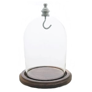 3&quot; x 4&quot; Hand Blown Pocket Watch Glass Display Dome Cloche Real Walnut Wood Base & Silver Metal Knob and Hook - Made in USA!