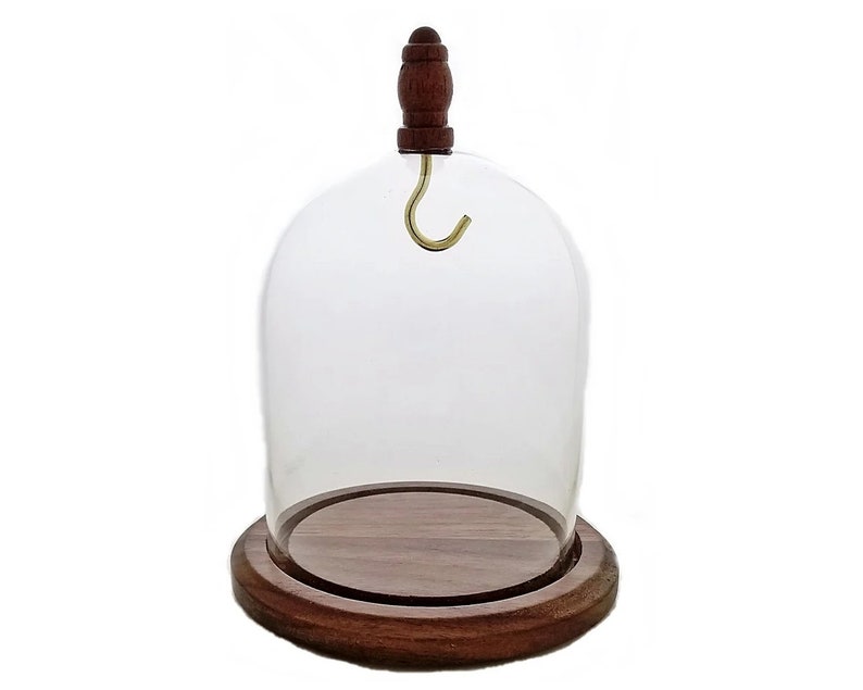 3" X 4" Hand Blown Pocket Watch Glass Display Dome Cloche Real Walnut ...