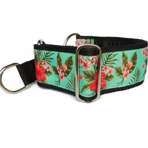 Half martingale dog collar (handmade). 2 inch, greyhound, lurcher, whippet, saluki. Hawaii. Luxury, lined for comfort and adjustable.