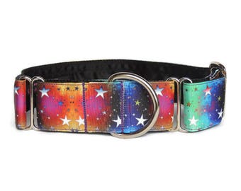 1.5 inch Martingale Collar or 1.5 inch Walking Collar (single-loop). Sighthounds - greyhound, lurcher, whippet, saluki. Starburst