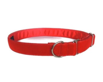 Collar para perro de terciopelo de lujo, hecho a mano, de 2,5 o 3,8 cm. Collar de casa, de una sola vuelta o de paseo. Terciopelo escarlata.