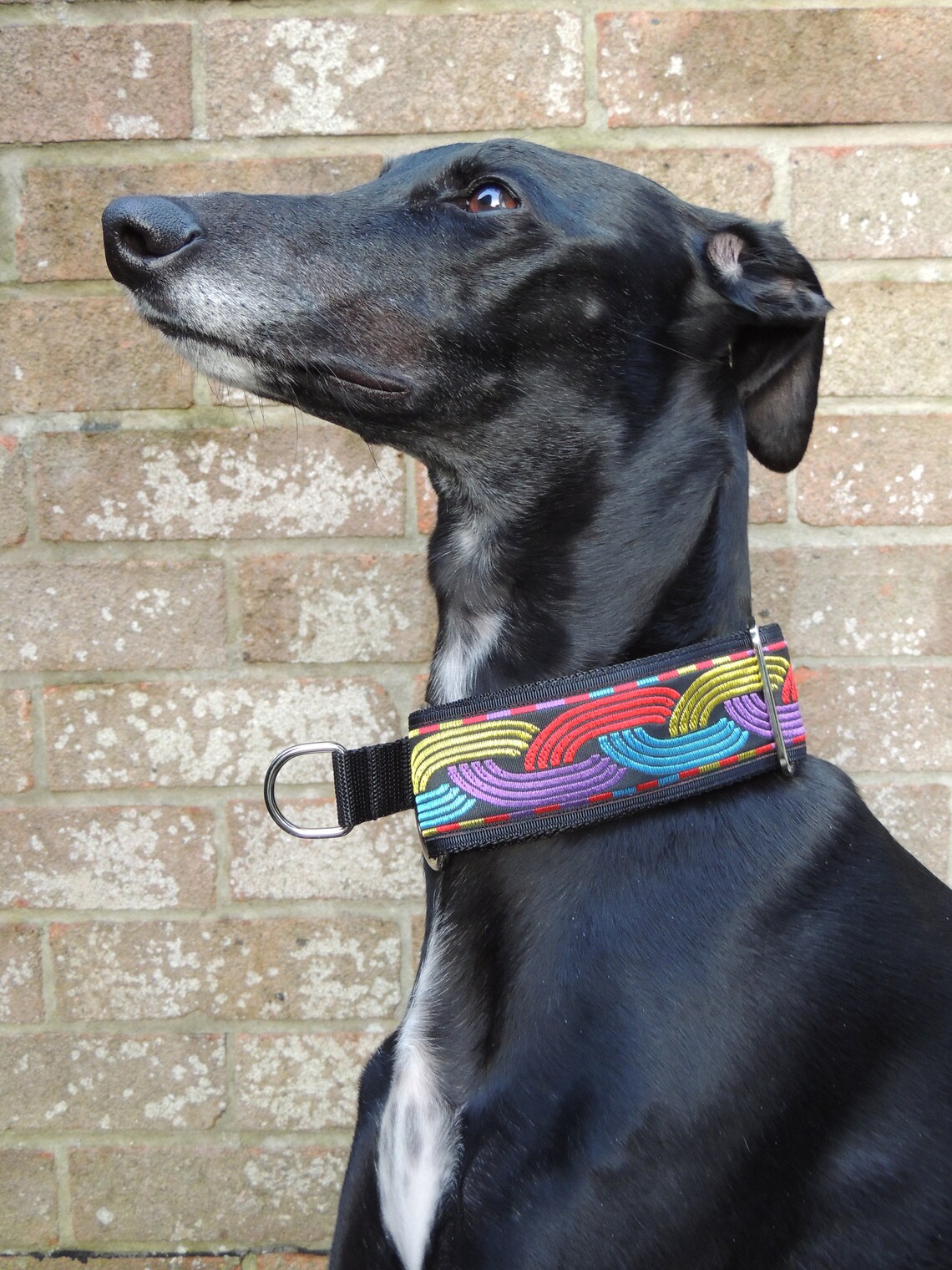 Half martingale dog collar handmade. 2 inch greyhound Etsy