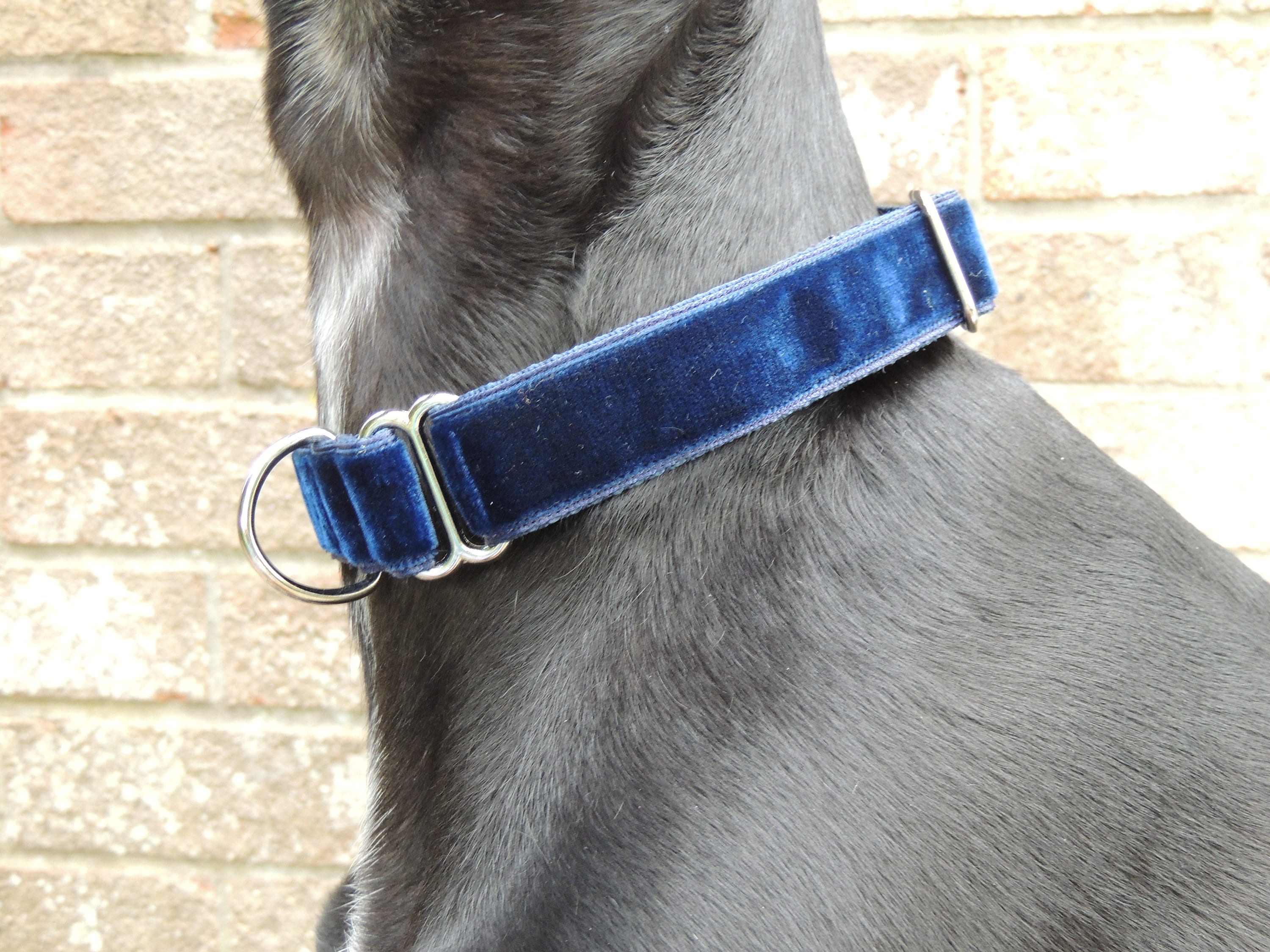 Handmade Dog Collar 1 inch 25mm. House Collar / single loop. Etsy