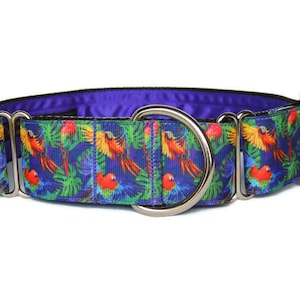 1.5 inch Martingale Collar or 1.5 inch Walking Collar (single-loop). Sighthounds - greyhound, lurcher, whippet, saluki. Parrot Frenzy