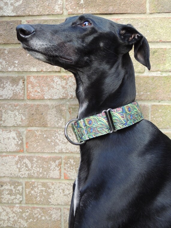 Martingale Dog Collar 1 5 Inch Greyhound Lurcher Whippet Etsy