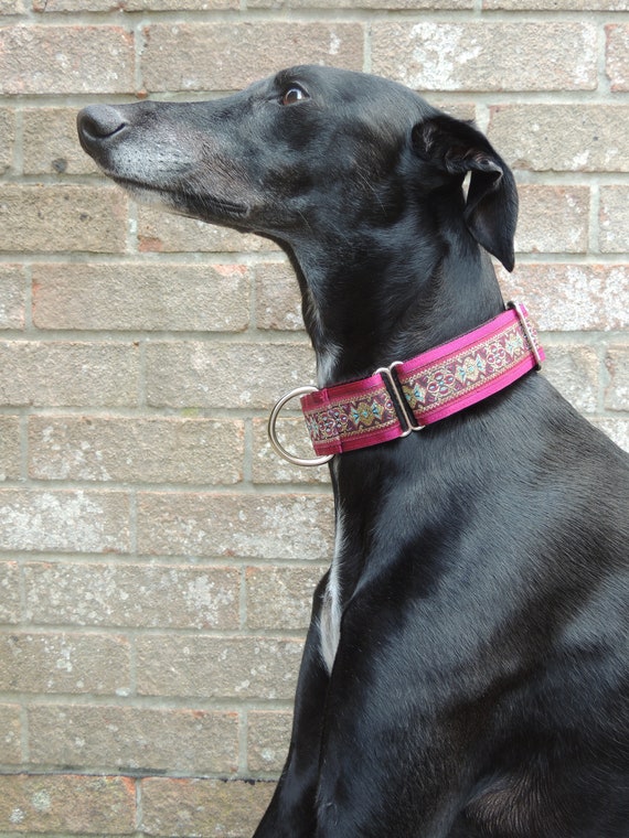 1.5 in martingale collar