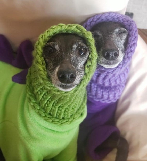 Dog neck warmers hotsell