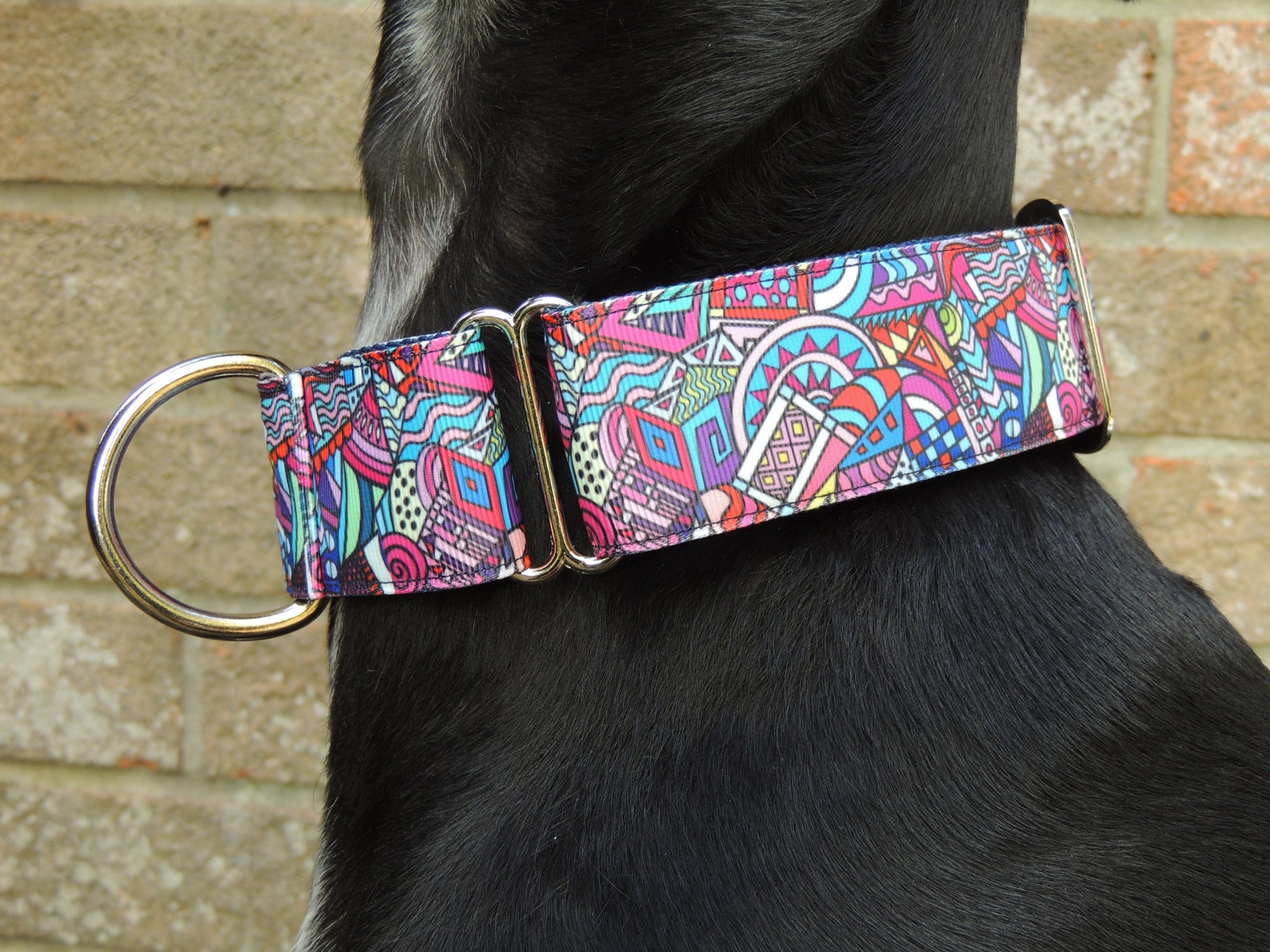 Martingale Dog Collar 1.5 Inch Greyhound Lurcher Whippet Etsy