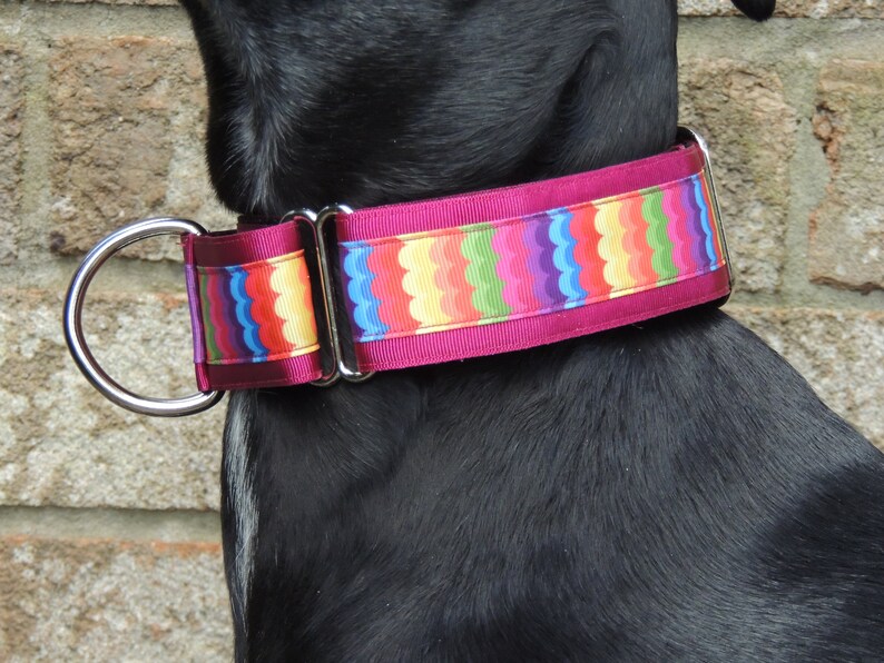 lurcher greyhound whippet Lined adjustable Rainbow Waves Handmade dog collar 1.5 inch Martingale Clip Single-Loop