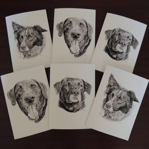 Paquete de 6 tarjetas de felicitación/notas en blanco (cumpleaños/ocasiones especiales) A partir de dibujos originales a lápiz - Tarjetas de perros - Collie, labrador