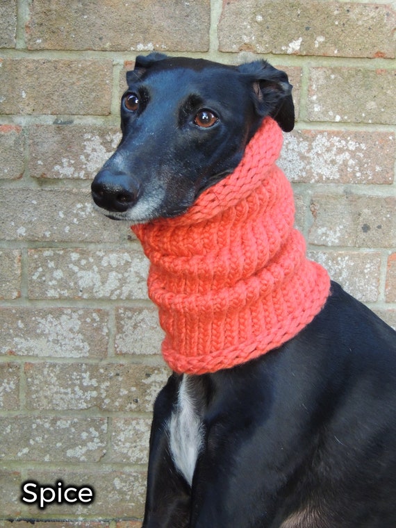 Greyhound scarf Clearance