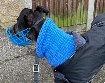 Cuello para perros grandes: para galgos grandes o razas similares y otras razas. Consulta la talla en la descripción antes de comprar. Varios colores.