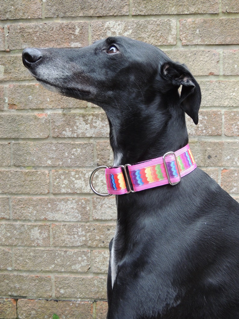 lurcher greyhound whippet Lined adjustable Rainbow Waves Handmade dog collar 1.5 inch Martingale Clip Single-Loop