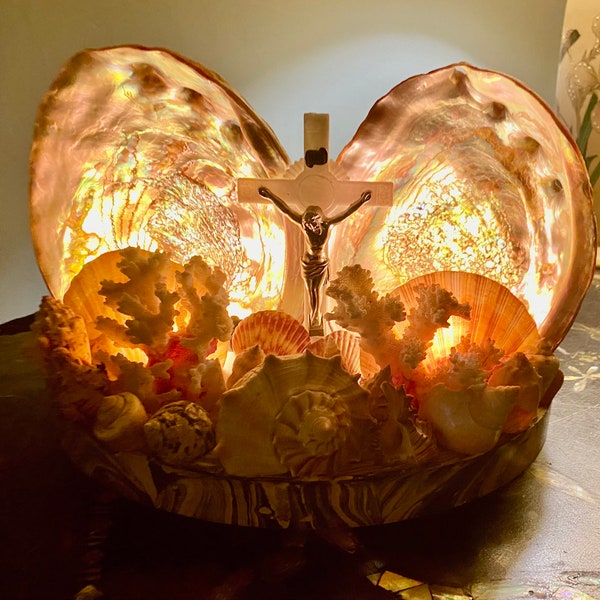 Sea Shell Lamp - Etsy