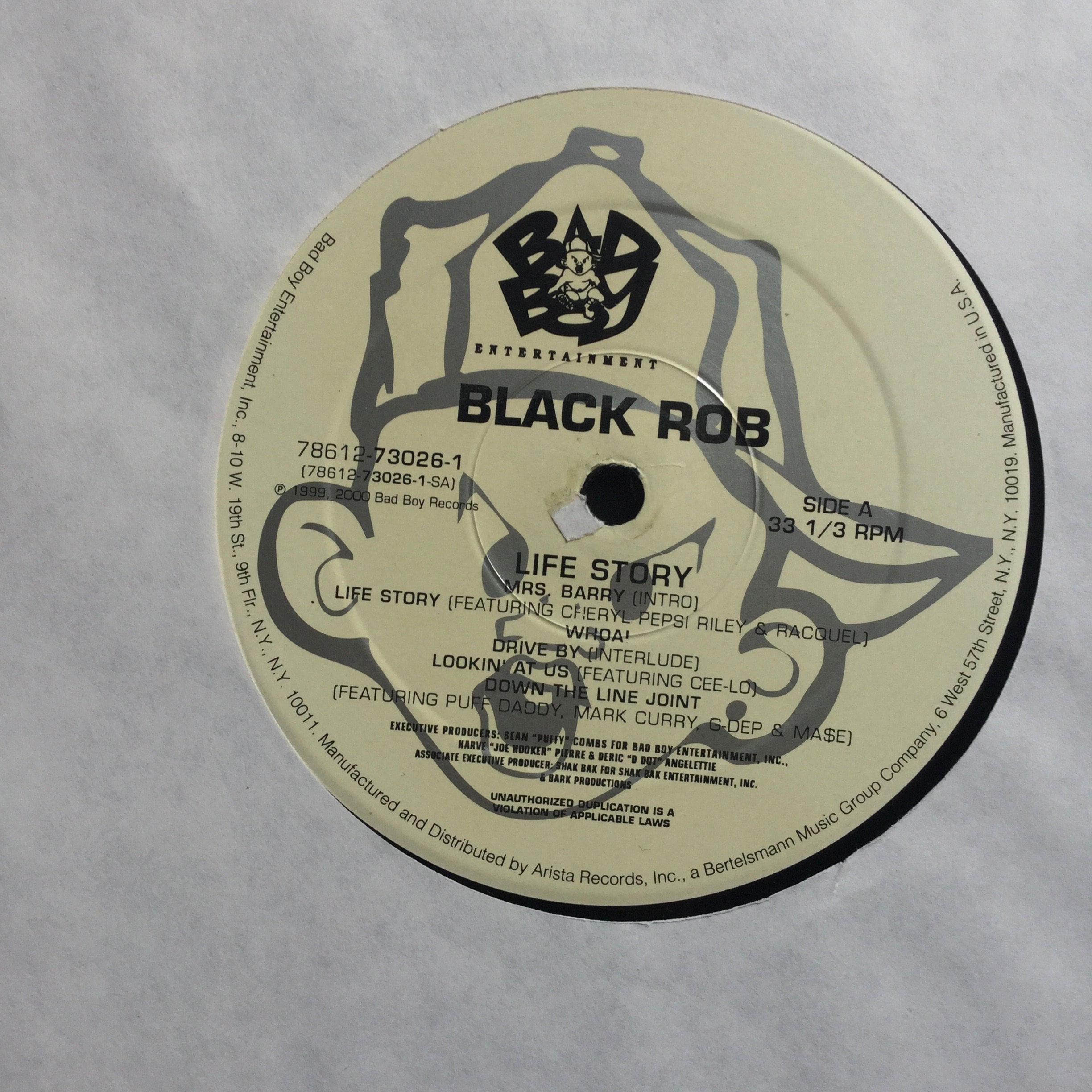 Black Rob - Life Story LP、Bad Boy Entertainment、USプレス - Etsy 日本